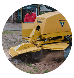 Stump Grinding